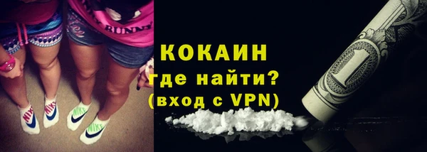 дурь Нея