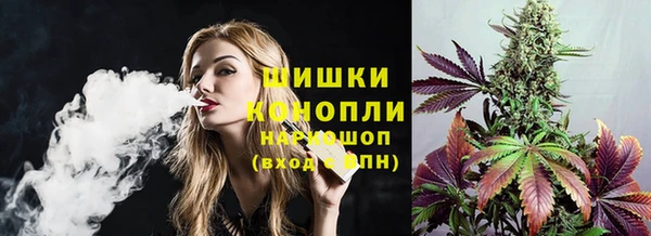 дурь Нея