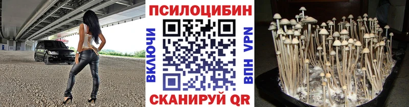 Галлюциногенные грибы Psilocybine cubensis  Усть-Кут 